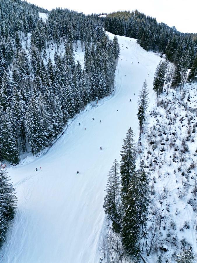 Alpenoase Schliersee - Grosse Suite Mit Sauna Oder Gemuetliche Studio Appartements 外观 照片