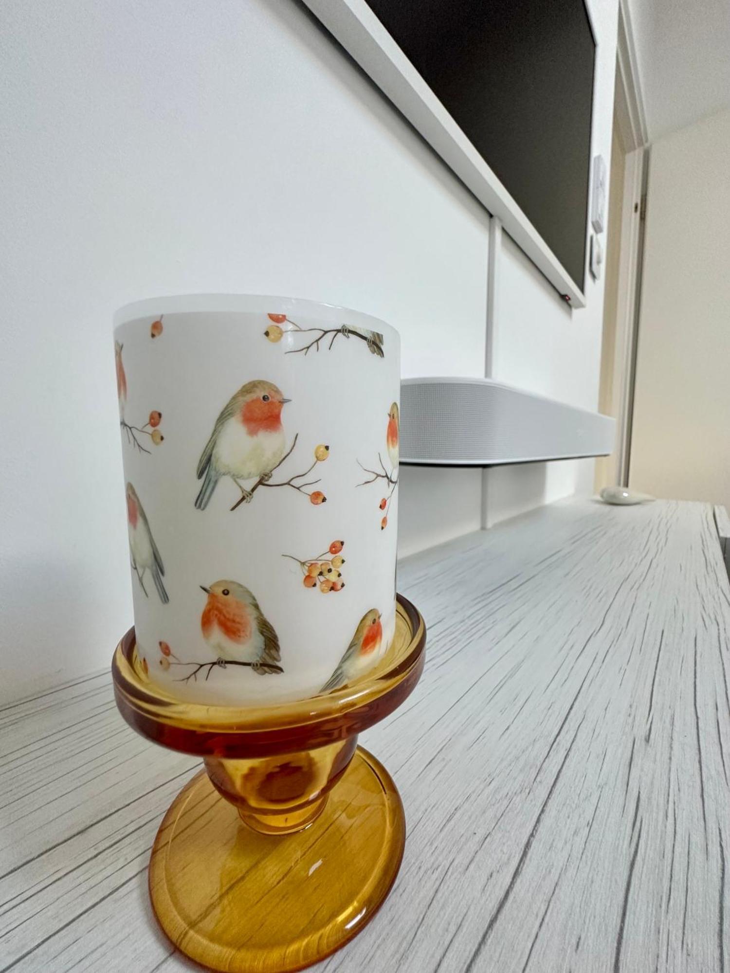 Alpenoase Schliersee - Grosse Suite Mit Sauna Oder Gemuetliche Studio Appartements 客房 照片