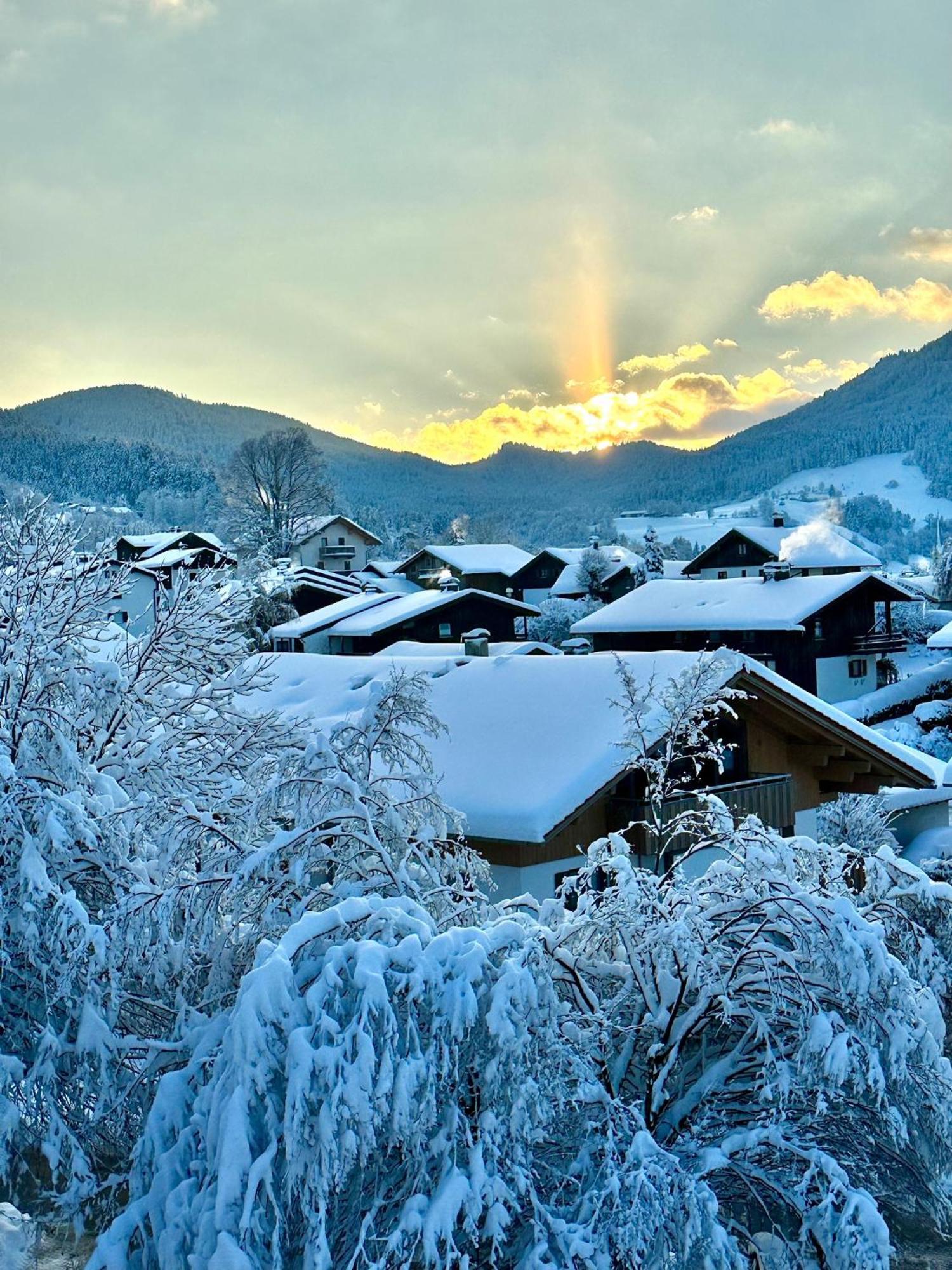 Alpenoase Schliersee - Grosse Suite Mit Sauna Oder Gemuetliche Studio Appartements 外观 照片